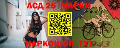 spice Кулебаки